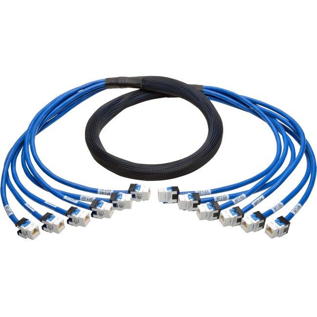 Tripp Lite by Eaton, 6Ft Cat6 Cat6A Trunk Bundle X6,Augmented Copper Rj45 F/F Blue