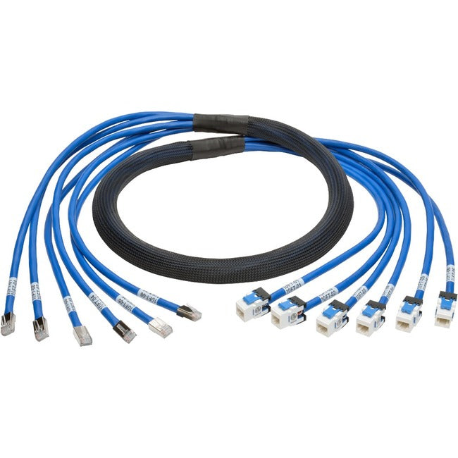 Tripp Lite by Eaton, 6Ft Cat6 Cat6A Trunk Bundle X6,Augmented Copper Rj45 M/F Blue